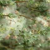 DSCF3059