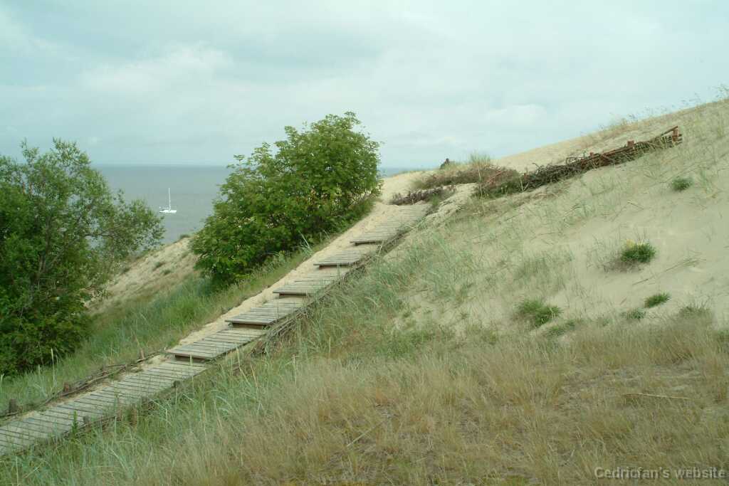 DSCF2918