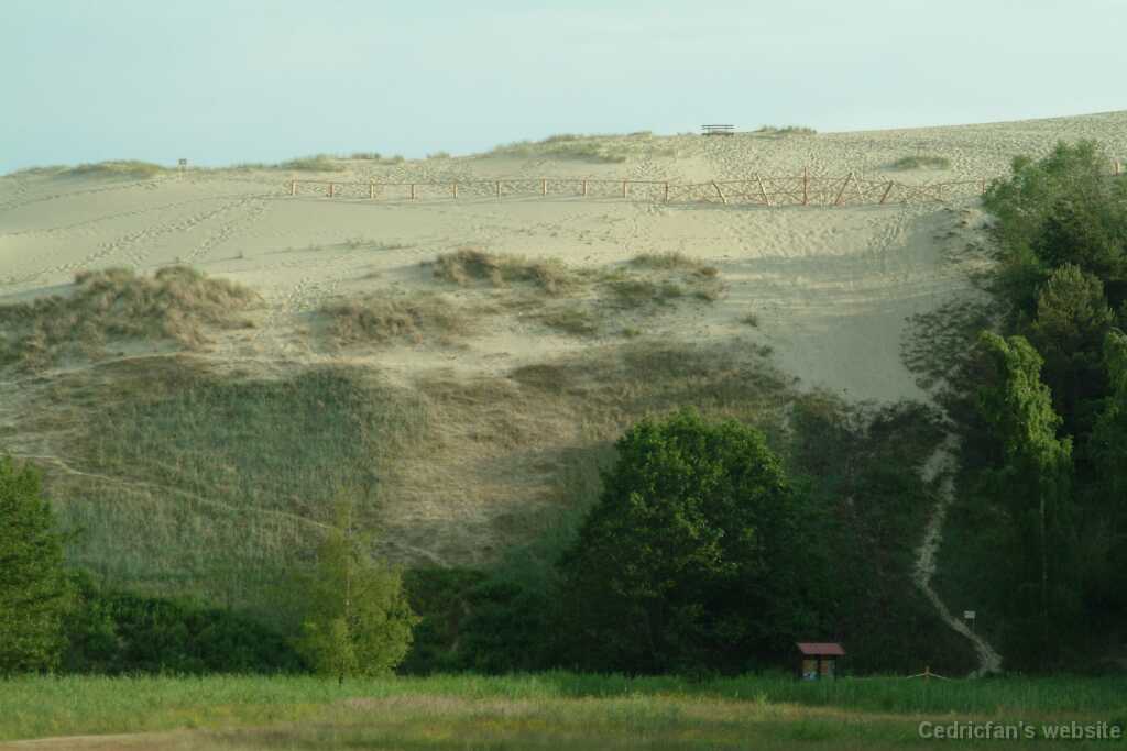 DSCF2941