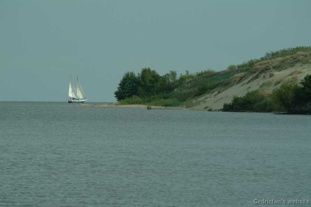 DSCF2949