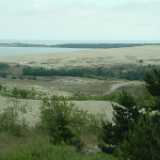 DSCF2906