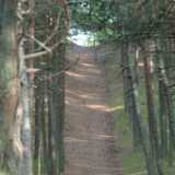 DSCF2937