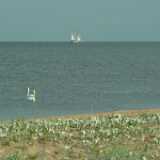 DSCF2946