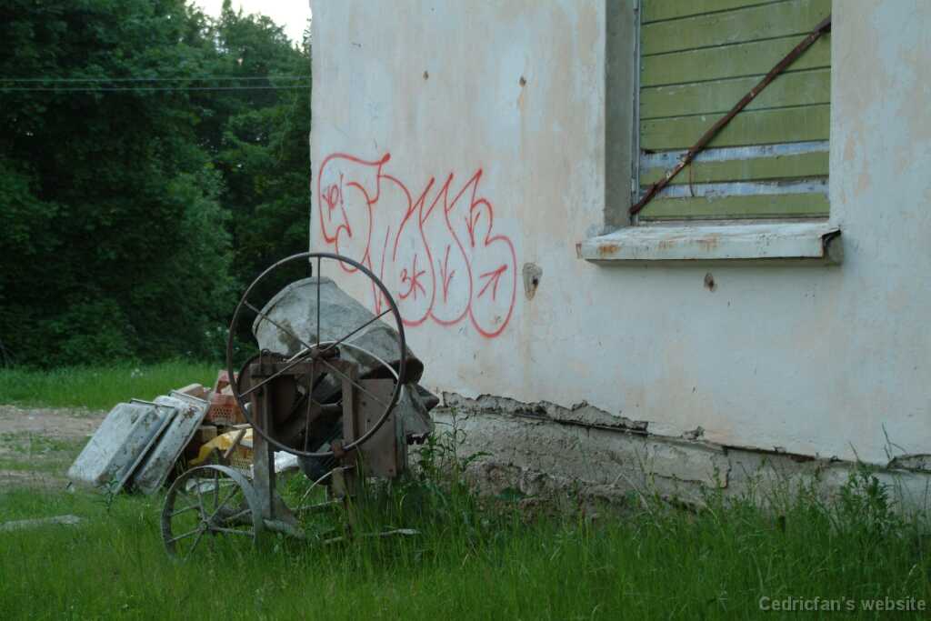 DSCF2782