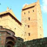 DSCF2769