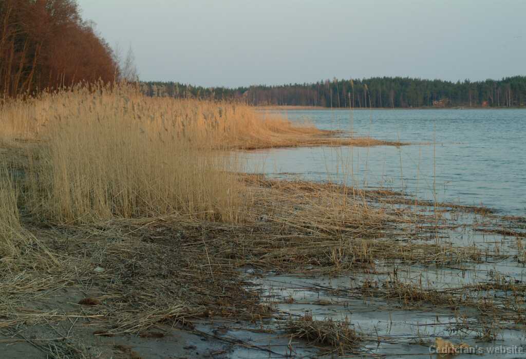 DSCF2039