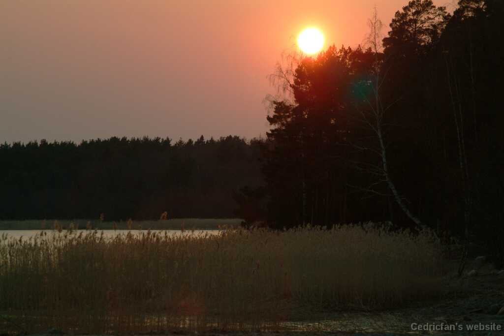 DSCF2065