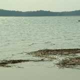 DSCF2006