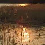 DSCF2052