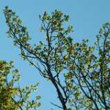 DSCF2381