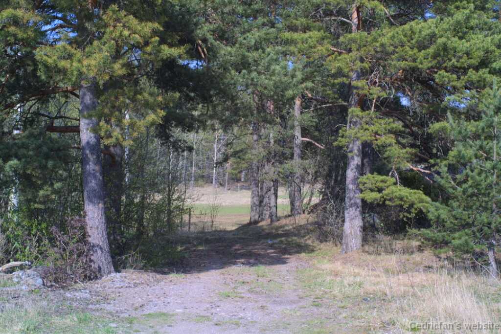 25path
