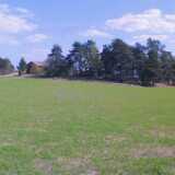 21field