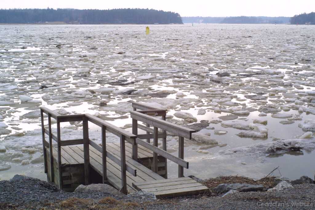 swimbeach