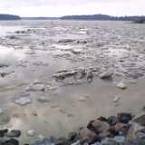 1sea