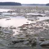 2sea