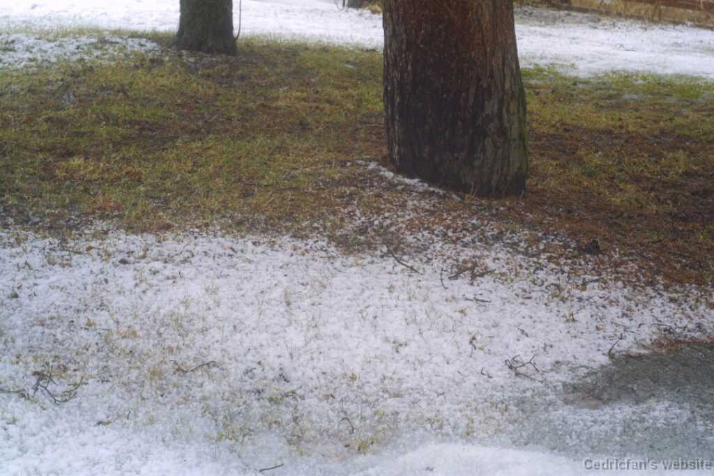 1wetsnow