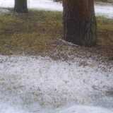 1wetsnow