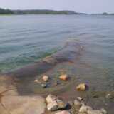 Archipelago03