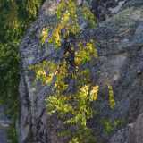 Archipelago04