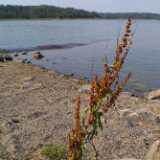 Archipelago08