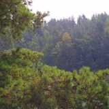 Archipelago23