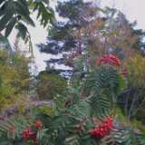 Archipelago32
