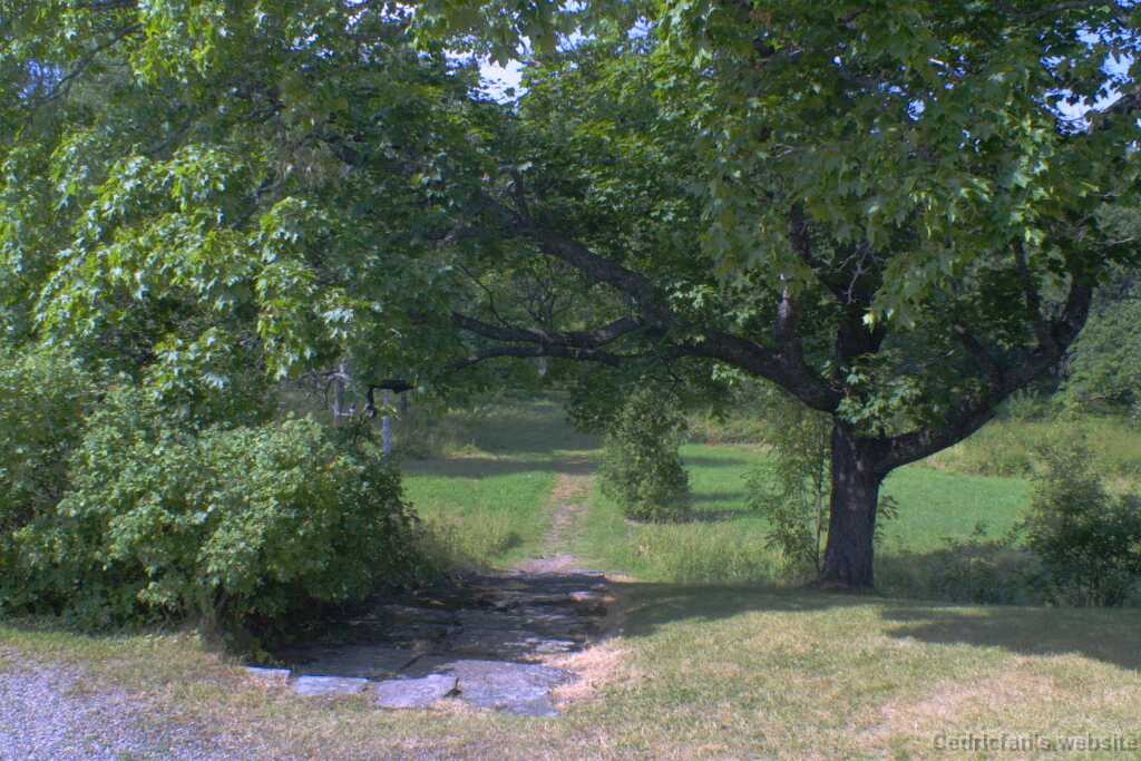 Brinkhall13