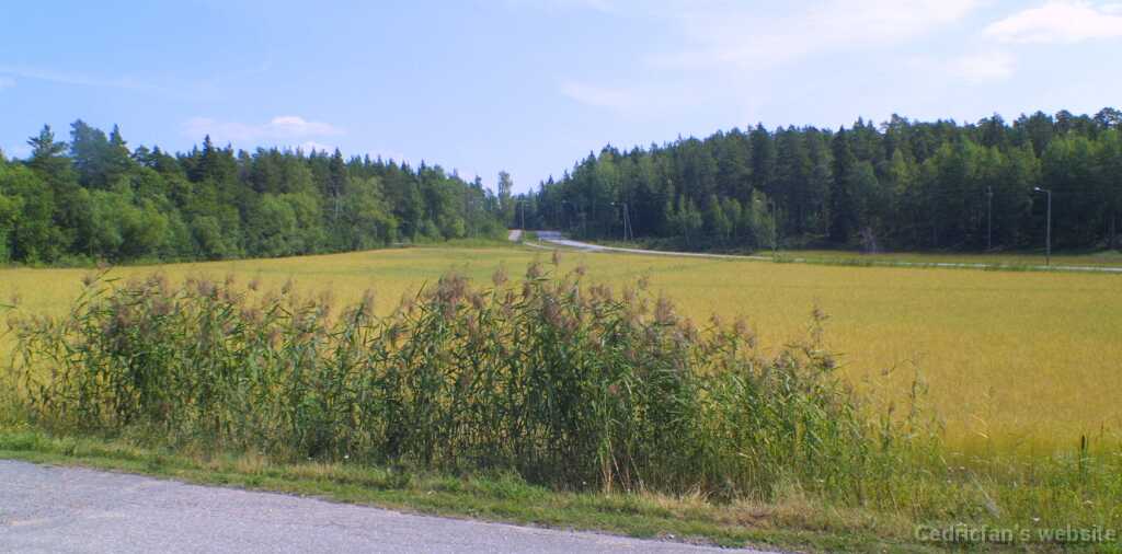 Brinkhall27