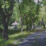 Brinkhall05