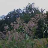 Castle23