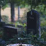 Kuusisto04
