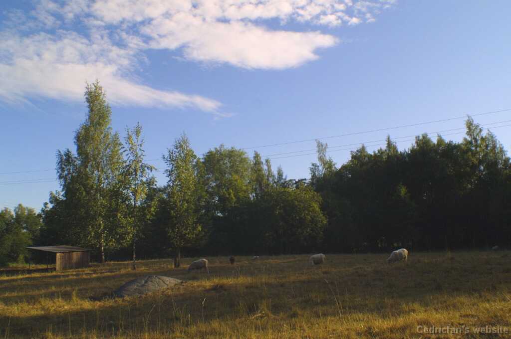 Ruissalo23