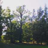 Ruissalo21