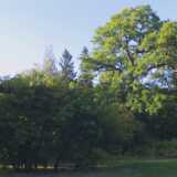 Ruissalo22