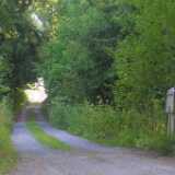 Ruissalo28