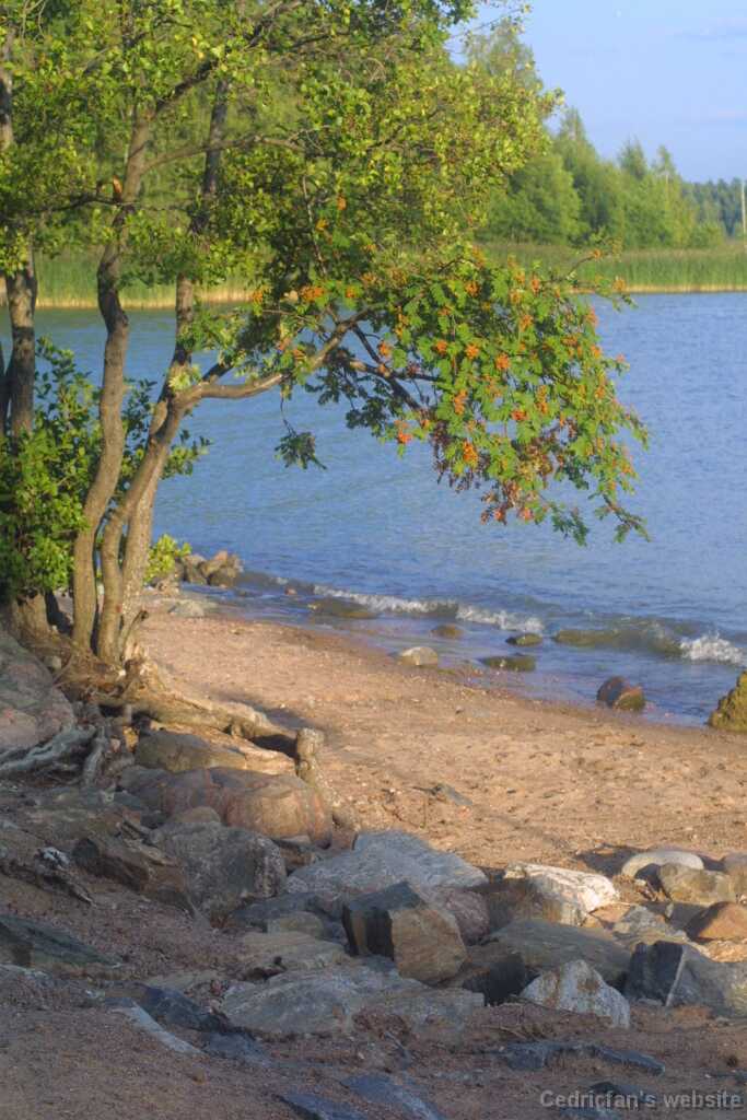 Saaronniemi16