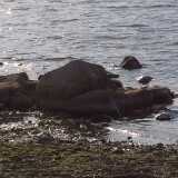 Saaronniemi05