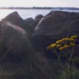 Saaronniemi07
