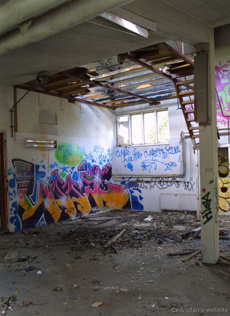 IMG_0535_AllDamaged