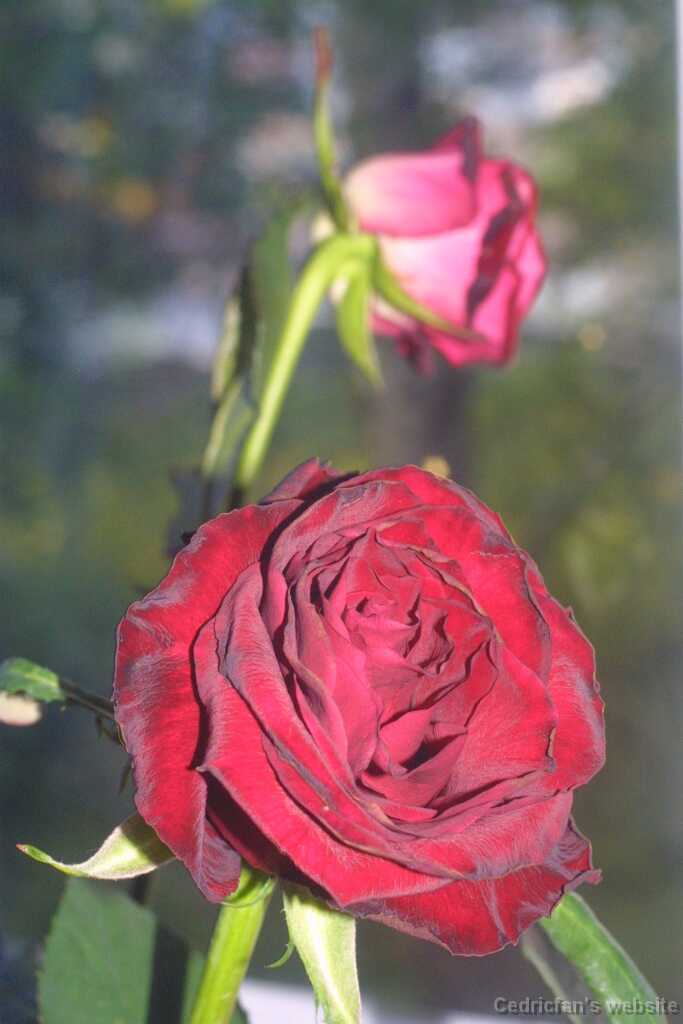 Untitled-18