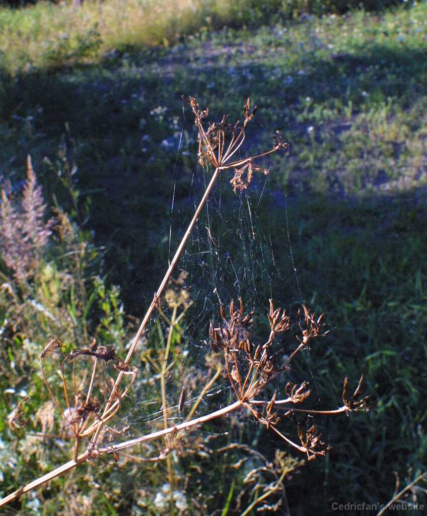 Untitled-33