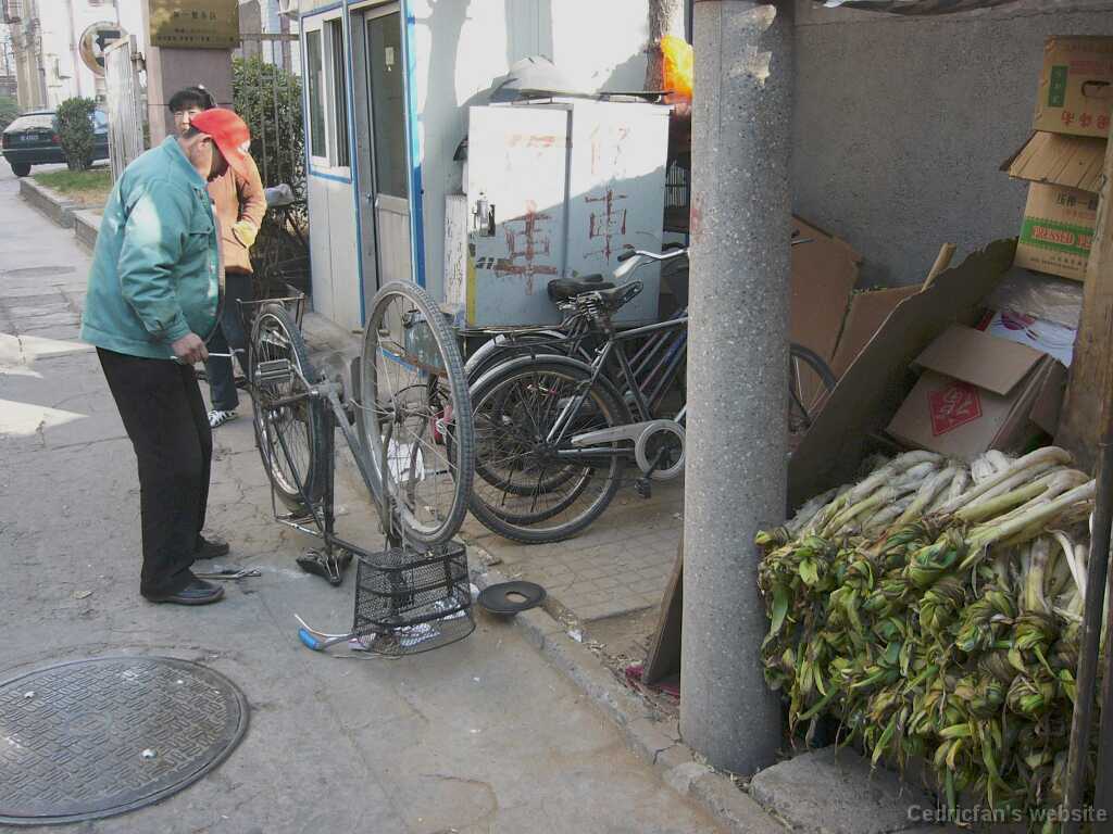 L1000487_Cyclerepair_and_foodstorage