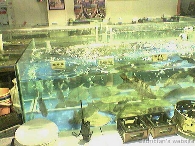 L1000517-Seafood_restaurant