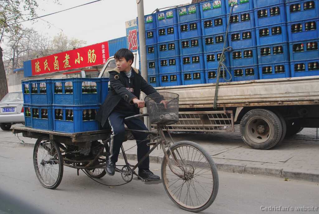 DSC_0228_Transportboy