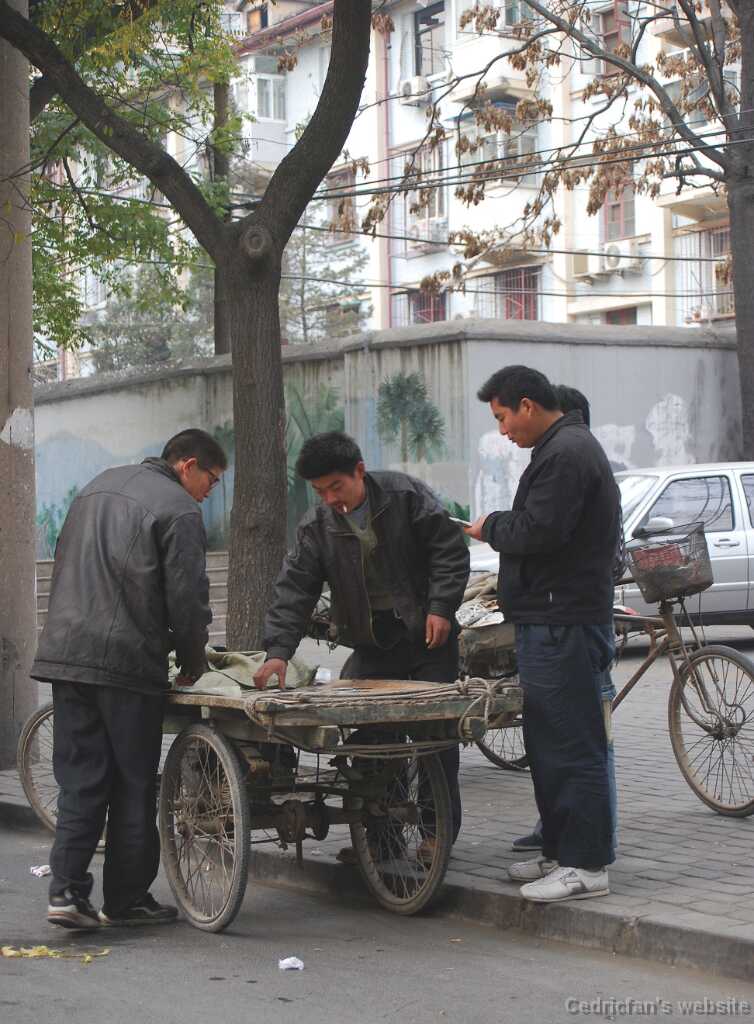 DSC_0231_Playing_card