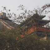 Rural views
