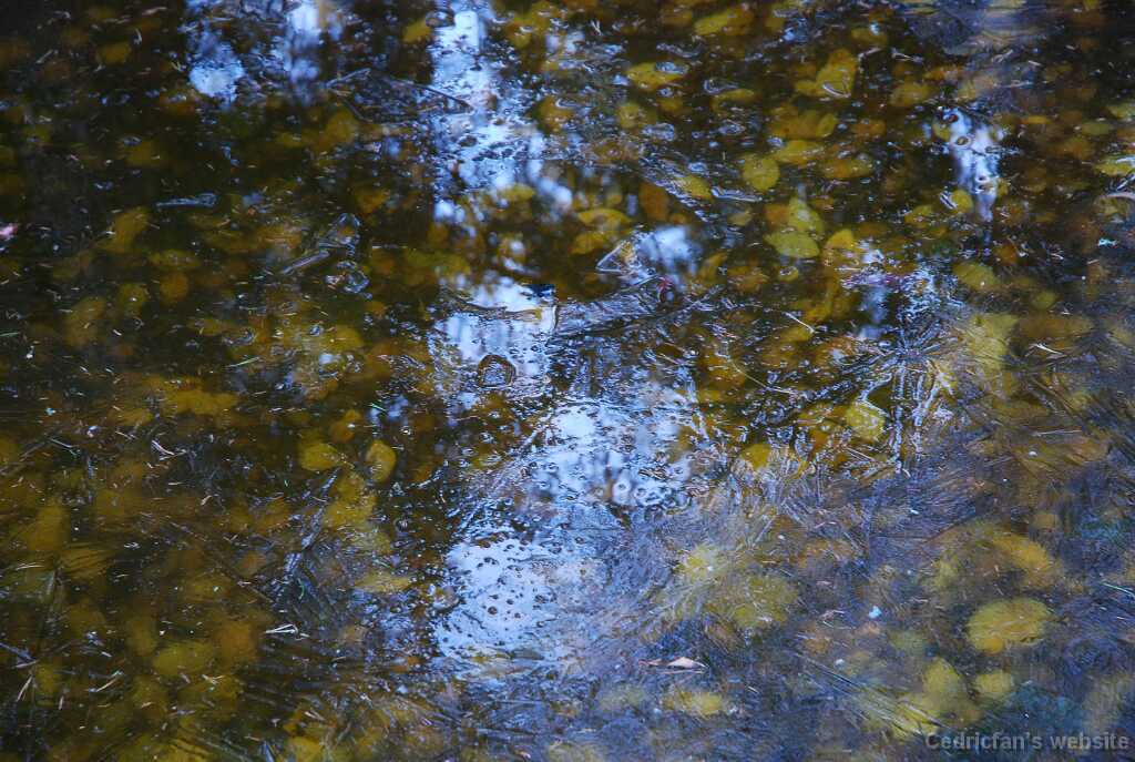 DSC_0964