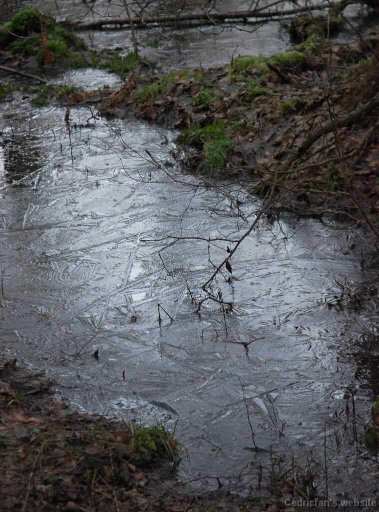 DSC_1015