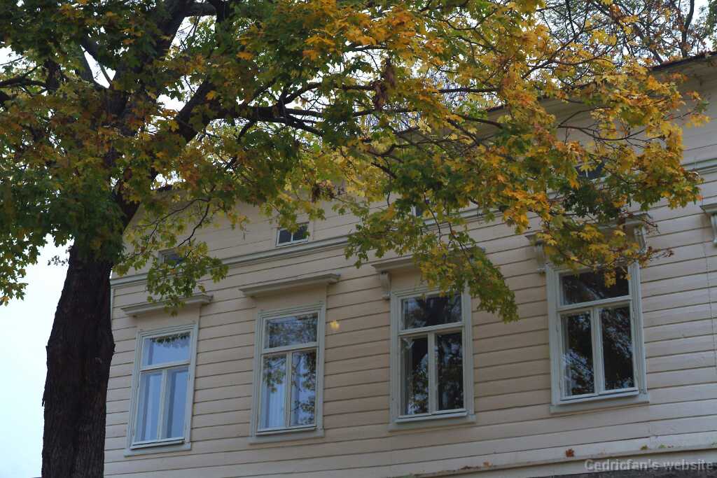 DSCF0978