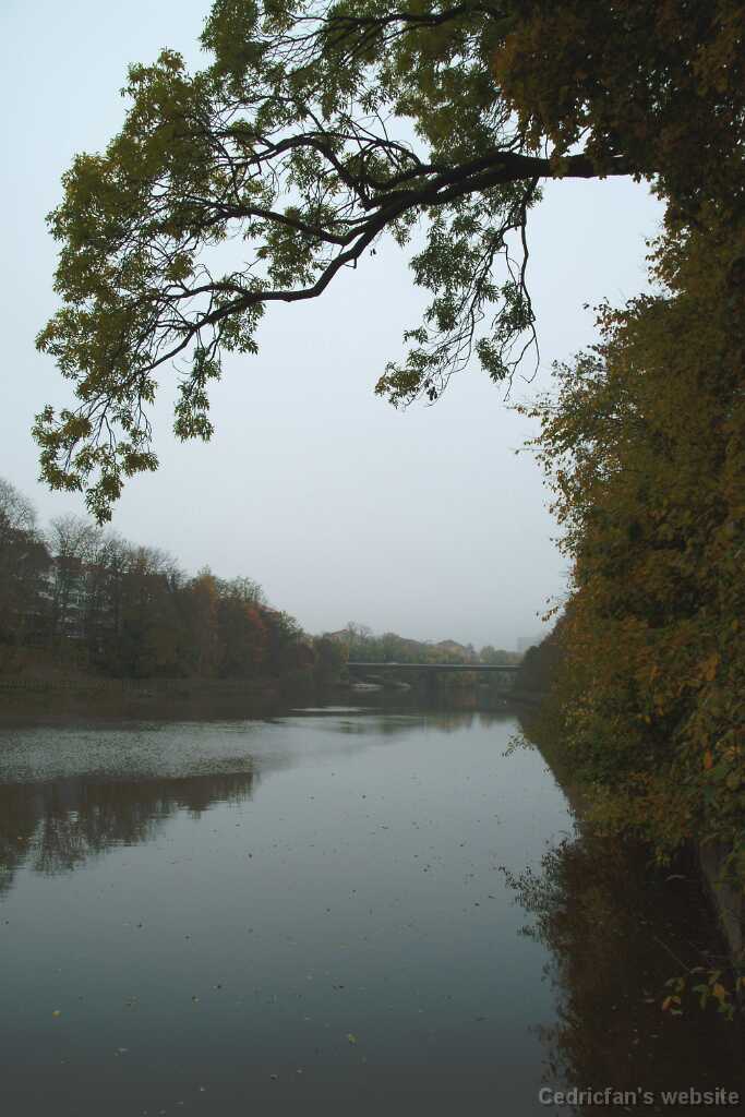 DSCF0983